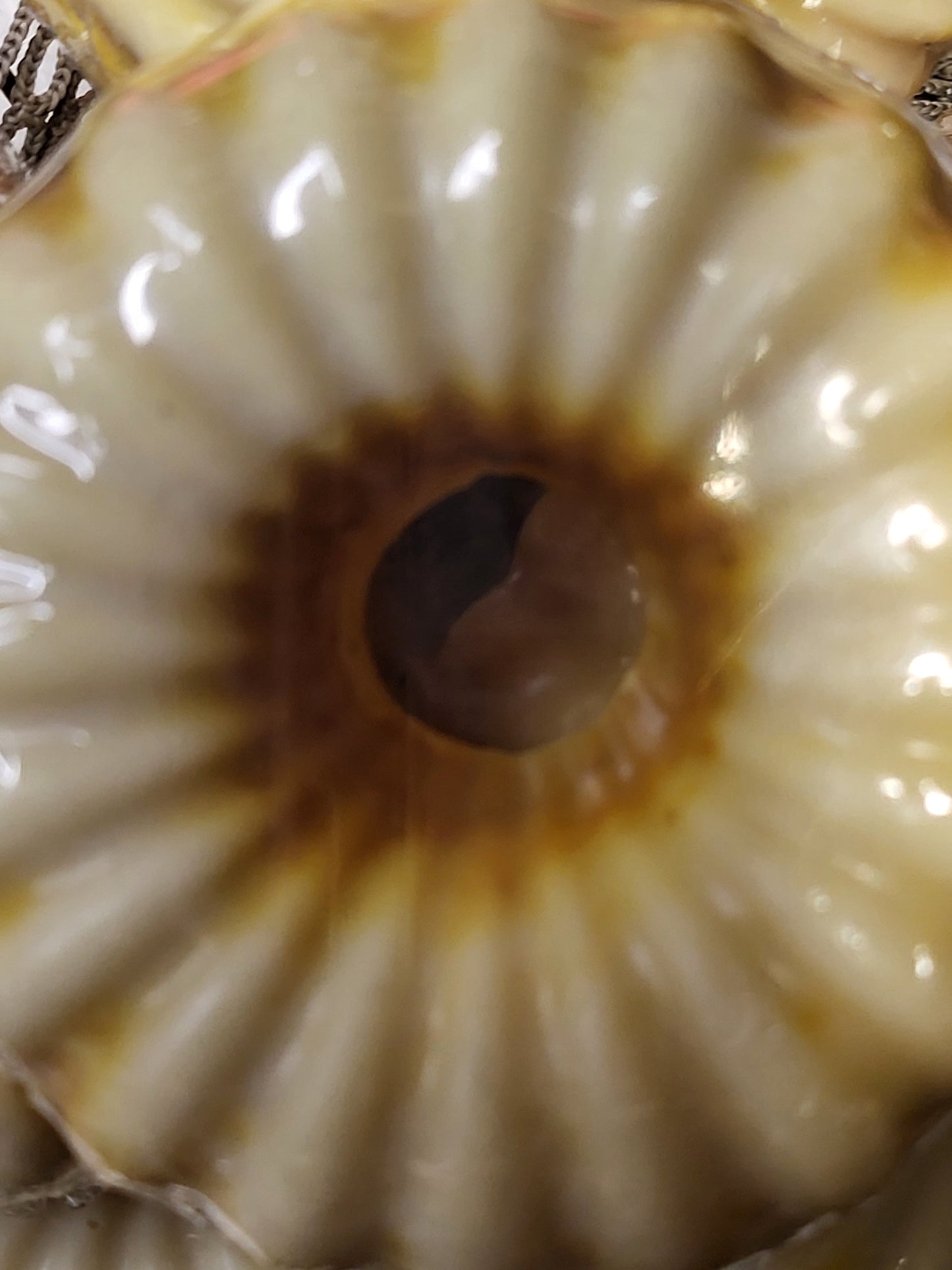Handcrafted Bundt Cake Soaps