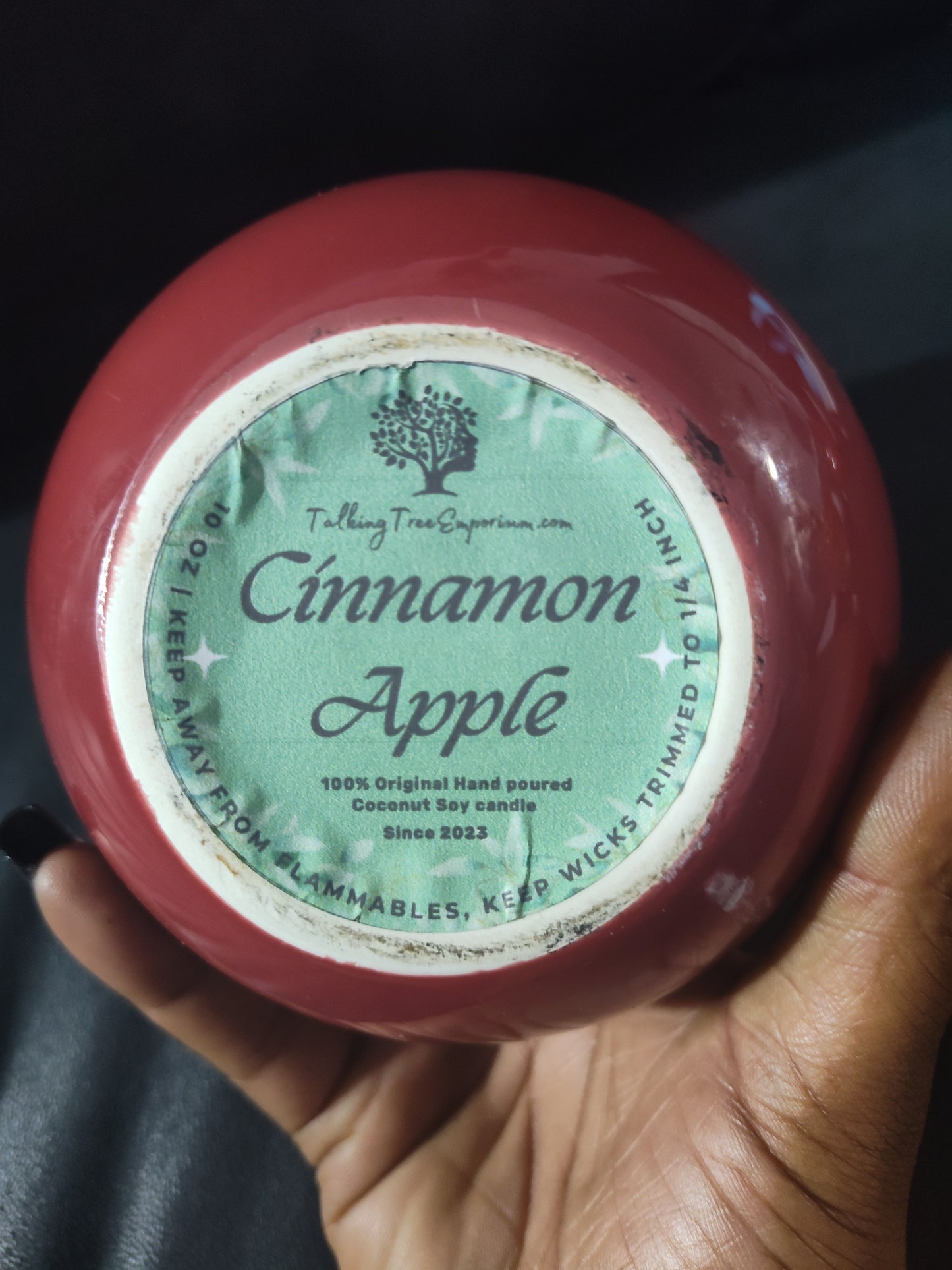 Cinnamon Apple candle 10 oz